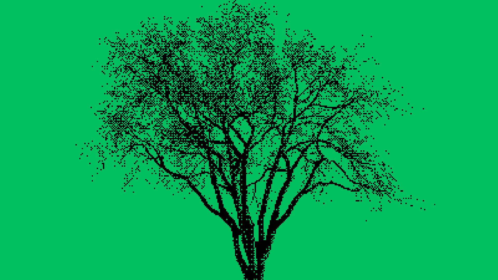 Environment